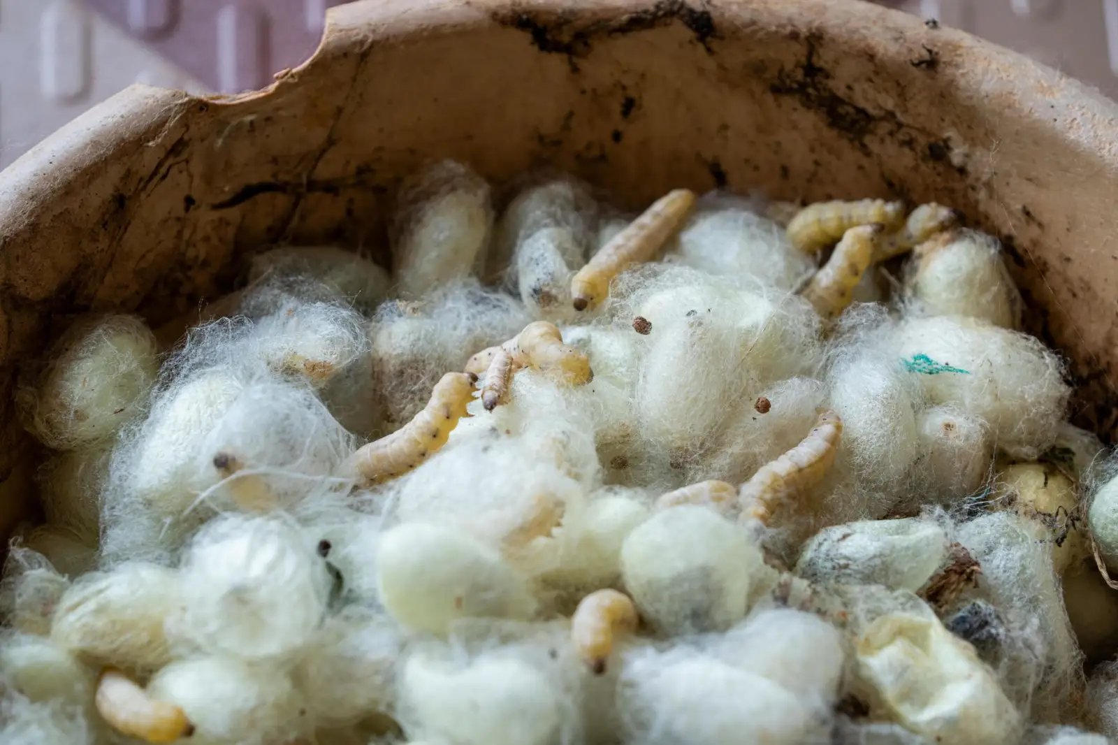 江西人力资源派遣服务标准化流程与质量管控要点